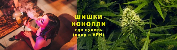 PSILOCYBIN Лабытнанги