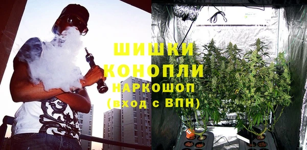 PSILOCYBIN Лабытнанги