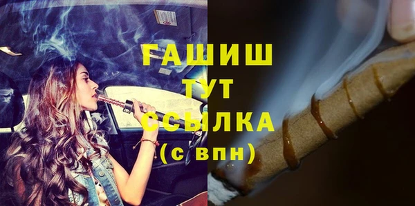 PSILOCYBIN Лабытнанги