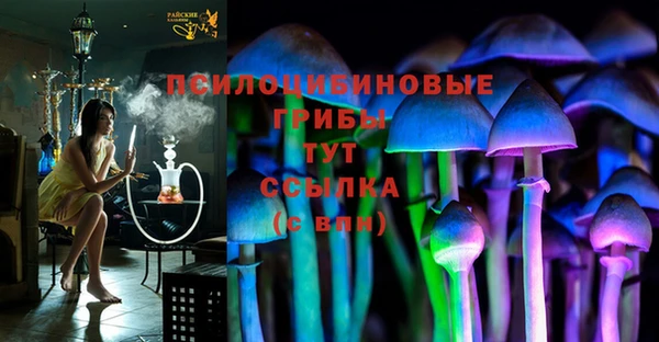 a pvp Ладушкин